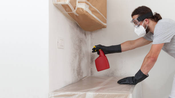 Professional Mold Testing technician working in North Beach, MD